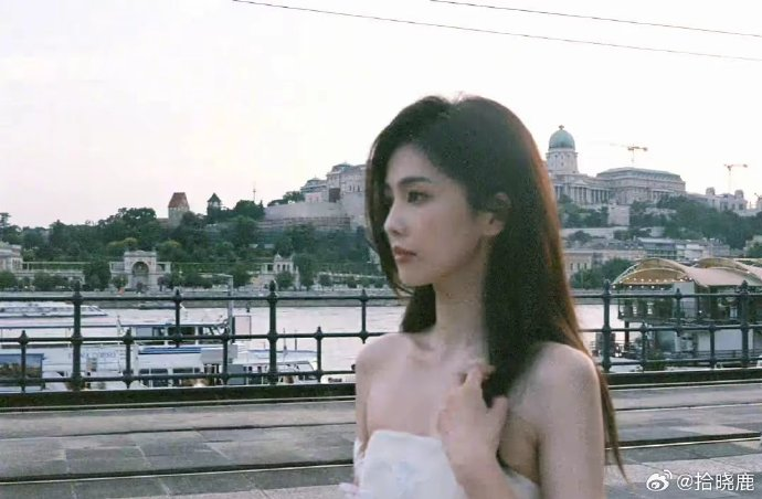 新来的鹿茸们快看！一份鹿鹿守则请查收！-拾晓鹿后援网