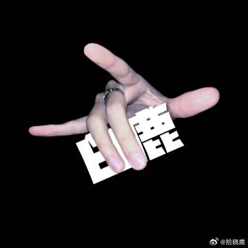 权威这一块-拾晓鹿后援网